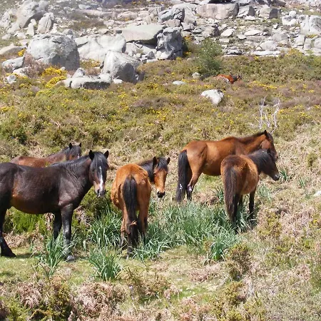 Casa Ferreira By Gerês Casas Terras de Bouro